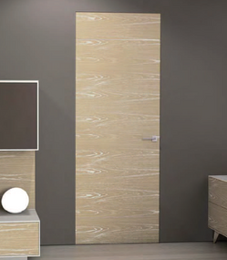 Frameless Doors in Chicago